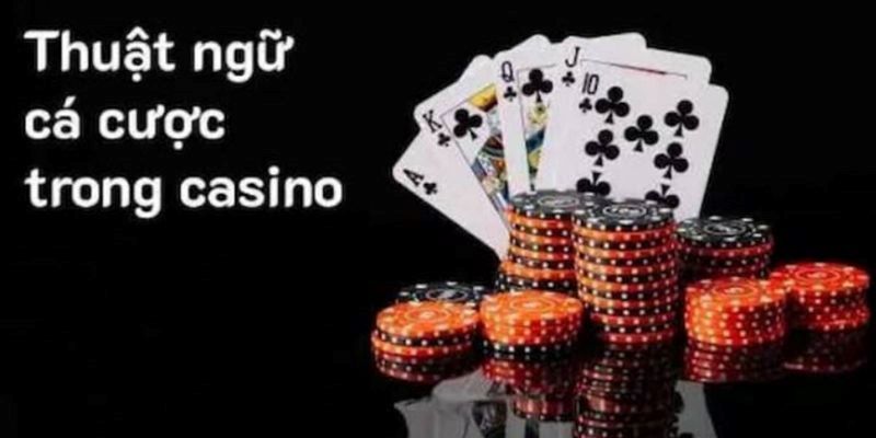 Khám Phá Thuật Ngữ Trong Casino Để Dễ Dàng Thắng Lớn